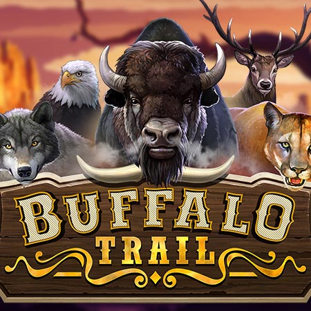 Buffalo Trail